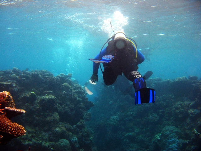 Practicas de buceo